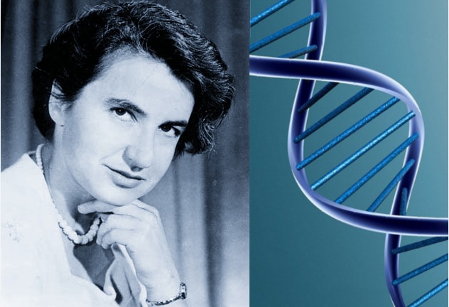 படிமம்:Rosalindelsiefranklin.jpg