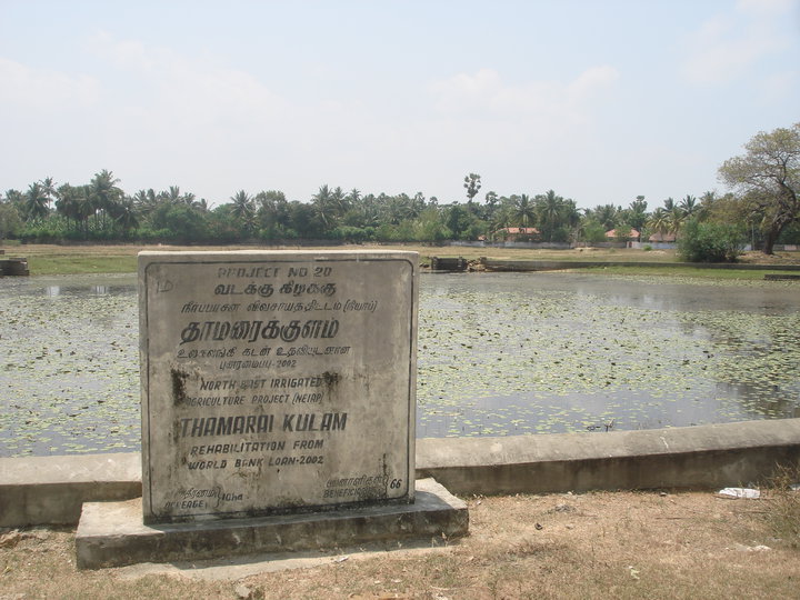 படிமம்:Thunnalaithamaraikulam.jpg