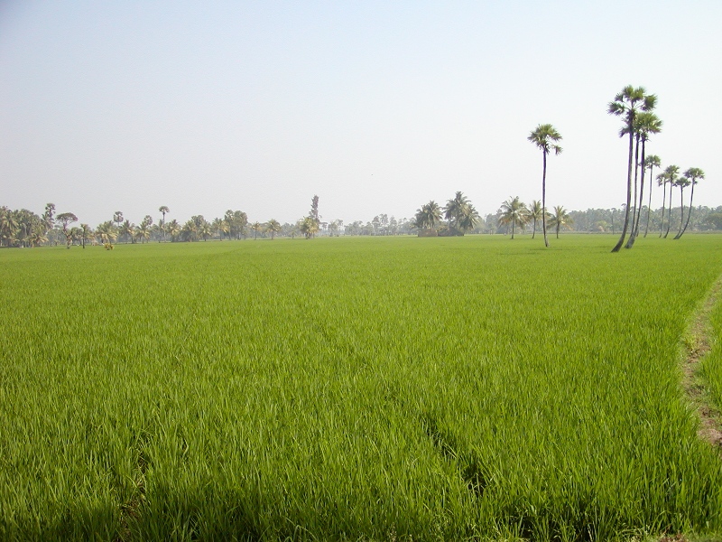 దస్త్రం:Konaseema-1.jpg