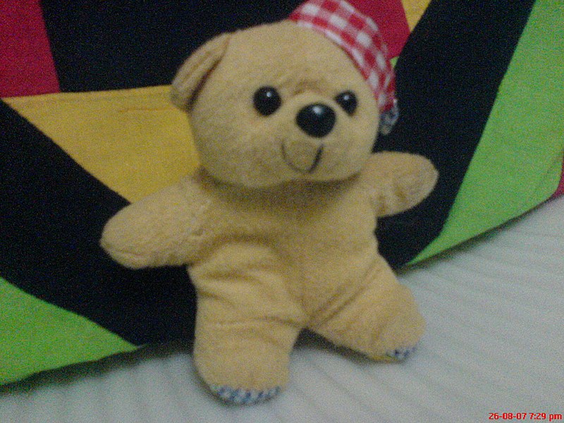 దస్త్రం:Teddy.JPG