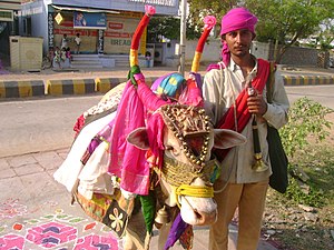 మకర సంక్రాంతి