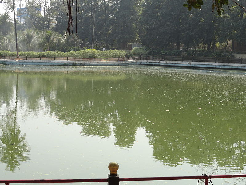 దస్త్రం:Water pond in public garden.JPG