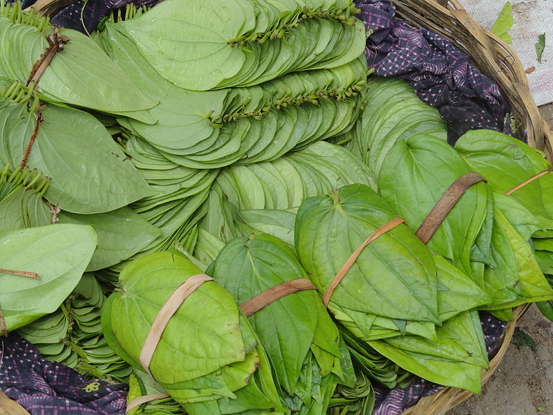 దస్త్రం:Bundles of betal leaves.JPG