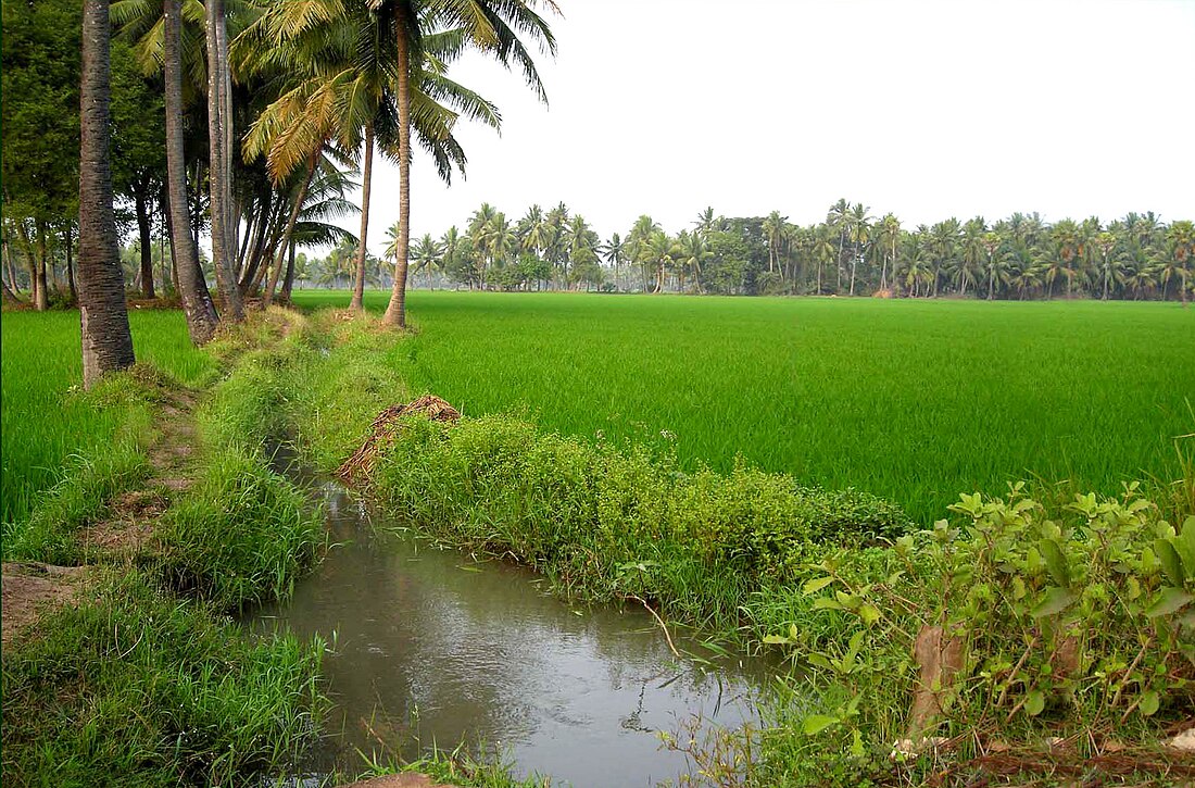 పశ్చిమ గోదావరి జిల్లా