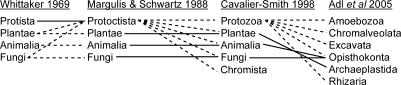 File:Evaluating-Support-for-the-Current-Classification-of-Eukaryotic-Diversity-pgen.0020220.g001.jpg