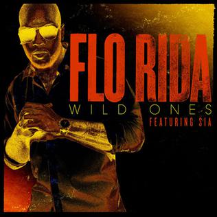 ไฟล์:Flo Rida Wild Ones.jpg