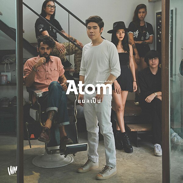 ไฟล์:แผลเป็น (Scar)-Atom-single.jpg