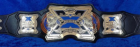 ไฟล์:New_TNA_X_Division_Championship.jpg