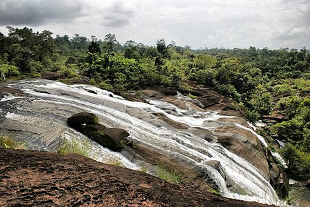 ไฟล์:เขตรักษาพันธุ์สัตว์ป่าภูวัว_3.jpg