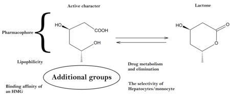 ไฟล์:The_schematic_structure_of_statins.png
