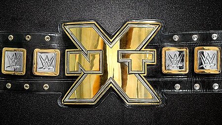 ไฟล์:NXT_Championship_Belt.jpg