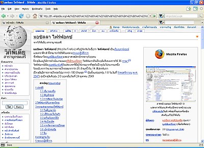 Firefox screen capture.jpg