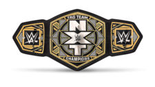 An image of the เอ็นเอ๊กซ์ที แท็กทีม แชมเปียนชิป NXT Tag Team Championship.