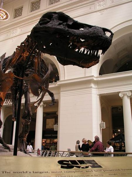 ไฟล์:Sue_trex_fieldmuseum.jpg