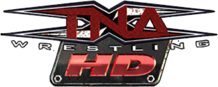 ไฟล์:TNA_HD_Logo.png