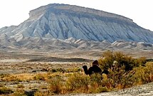 Türkmenistanyň Gözel Tebigaty: Fauna, Türkmenistanyň Döwlet goraghanalary, Türkmenistanyň Haýwanat baglary we seýilgähleri