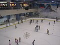 Pandaigdigang Ice Skating Rink