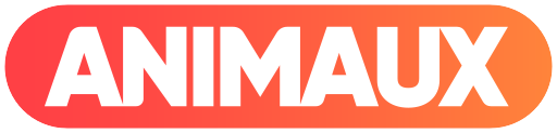 Dosya:Logo Animaux TV 2011.png
