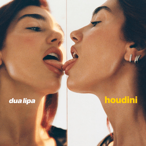 Dosya:Dua Lipa - Houdini.png