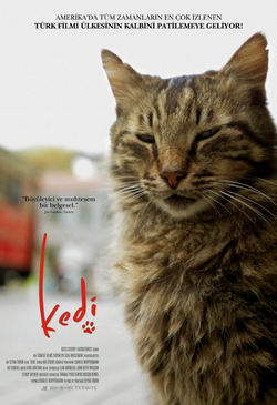 Dosya:Kedi (film, 2016).jpg