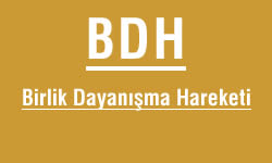 Birlik Dayanışma Hareketi