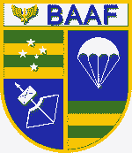 Dosya:Afonsos Hava Üssü (BAAF) logo.IMG 0745.png