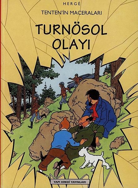 Dosya:TENTEN Turnösol Olayı albüm kapak.jpg