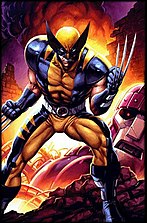 Wolverine (karakter)
