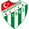 Bursaspor-amblem.png
