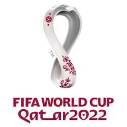 2022 Fifa Dünya Kupası: Ev sahibi seçimi, Eleştiriler, Katılan takımlar