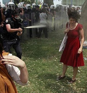 Gezi Parkı Olayları: Olayların gelişimi, Şiddet ve tartışmalar, Etkiler