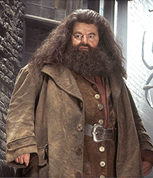 Rubeus Hagrid.png