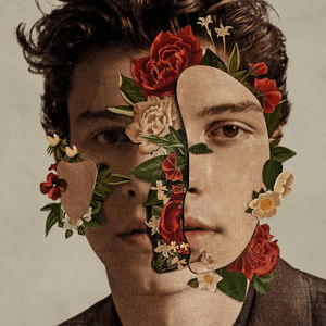 Файл:Shawn Mendes - Shawn Mendes (Official Album Cover).png