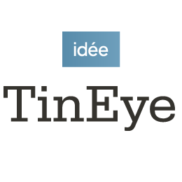 Файл:Tinyeye.gif
