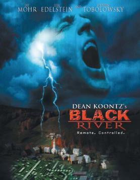 Файл:Black River (2001) Film Poster.jpg