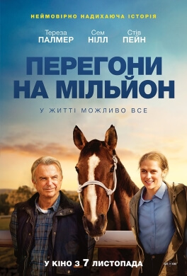 Файл:Постер до фільму «Перегони на мільйон», 2019.jpg