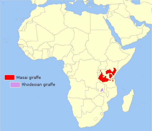 Файл:Masai giraffe distribution.svg.png