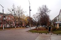 Центральна вулиця Лесі Українки