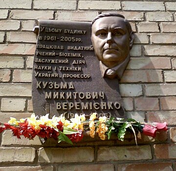 Веремієнко Кузьма Микитович