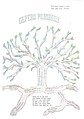 Мініатюра для версії від 09:25, 15 квітня 2011