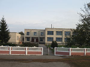 Загальноосвітня школа (фото 2010 року)