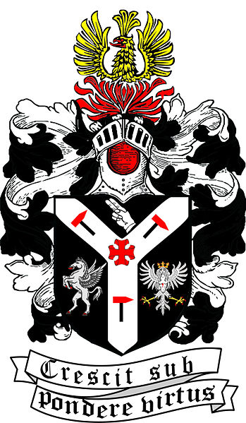 Файл:Coat of arms Snay.jpg