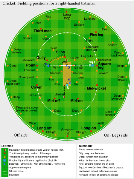 فائل:448px-Cricket fielding positions2.svg.png