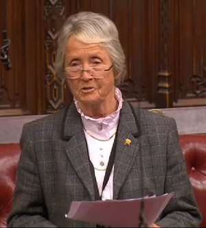 فائل:Baroness Heyhoe Flint 2015.png