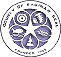 فائل:Saginaw seal.PNG
