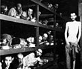 180px-Buchenwald.jpg