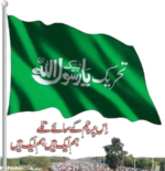 Tehreek-e-Labbaik Pakistan logo.png
