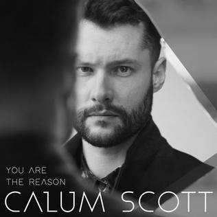 Tập tin:Calum Scott You Are the Reason.jpg