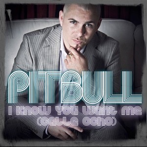 Tập tin:Pitbull i know you want me cover.jpg