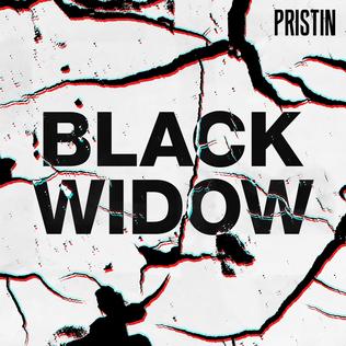 Tập tin:PristinBlackWidow.jpg